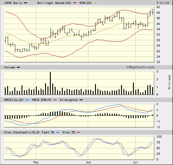 CDNA 3 Month Daily from BigCharts 2019-07-11